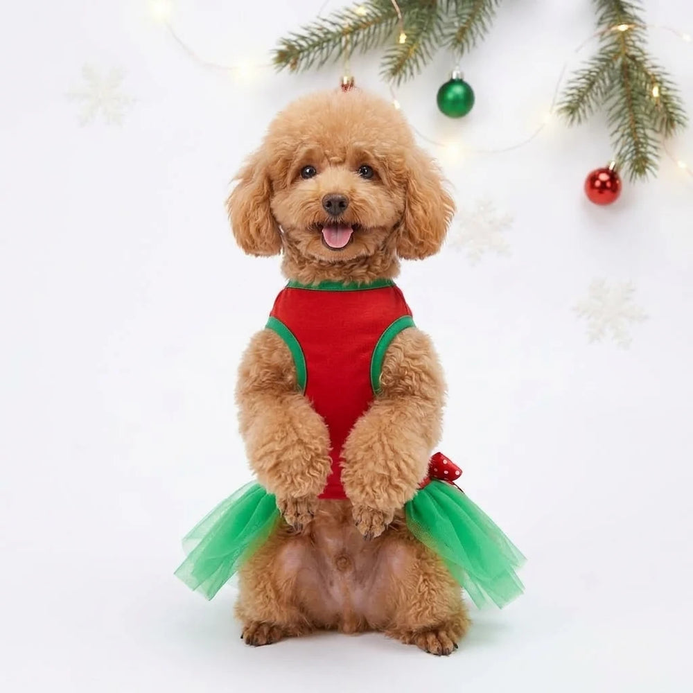 Tamecare Red and Green Christmas Gift Skirt Dog Dress