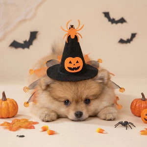 Tamecare Cat Witch Costume with Hat and Pumpkin Collar, Halloween Pet Outfit