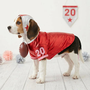 Red Football Cheerleader Dog Costume