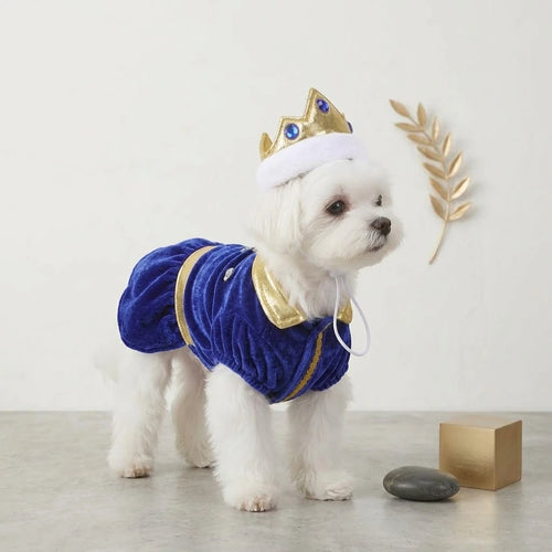 Blue Royal Prince Dog Costume