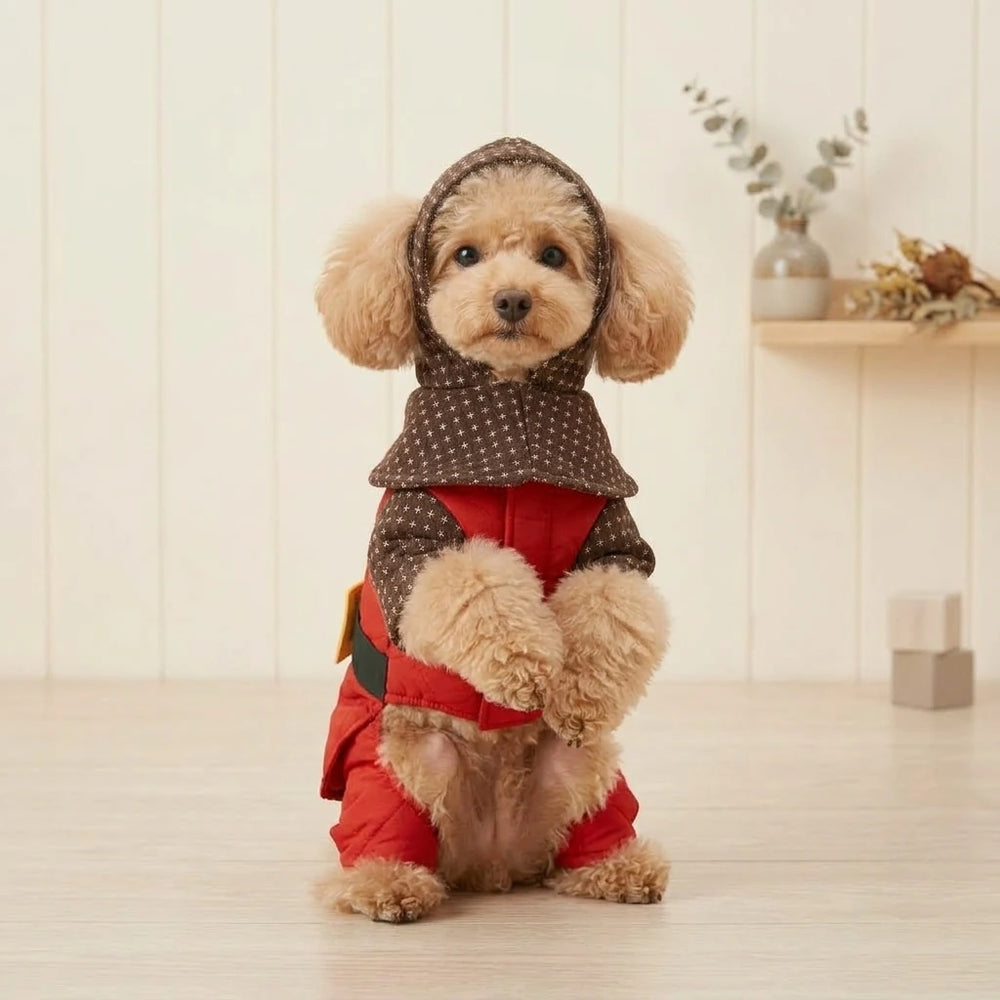 Red Knight Dog Costume