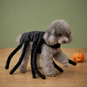 Tamecare Black Spider Halloween Dog Costume