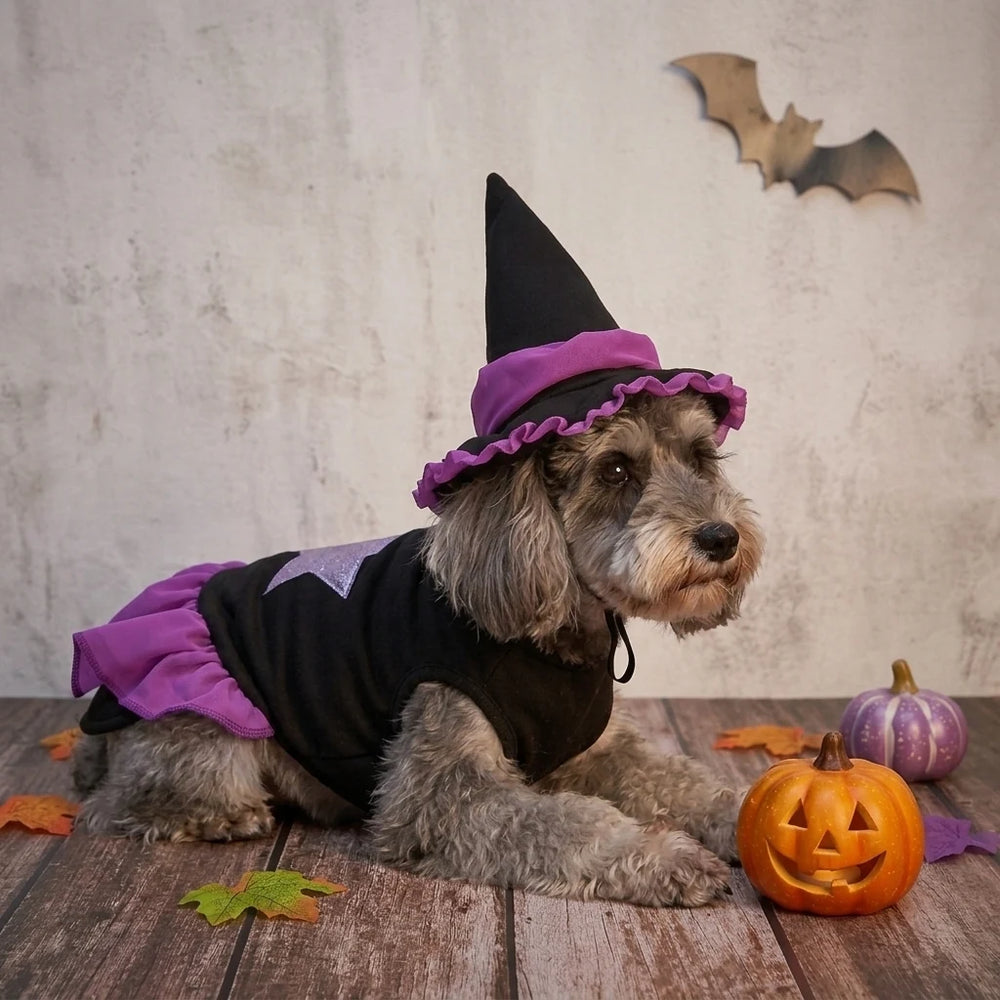Tamecare Purple Witch Halloween Dog Costume Set