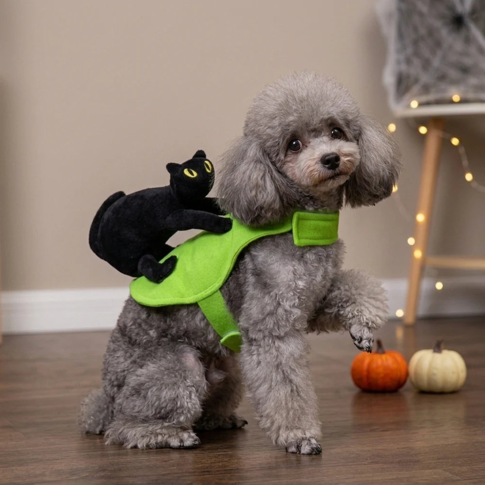 Tamecare Black Cat Rider Halloween Dog Costume