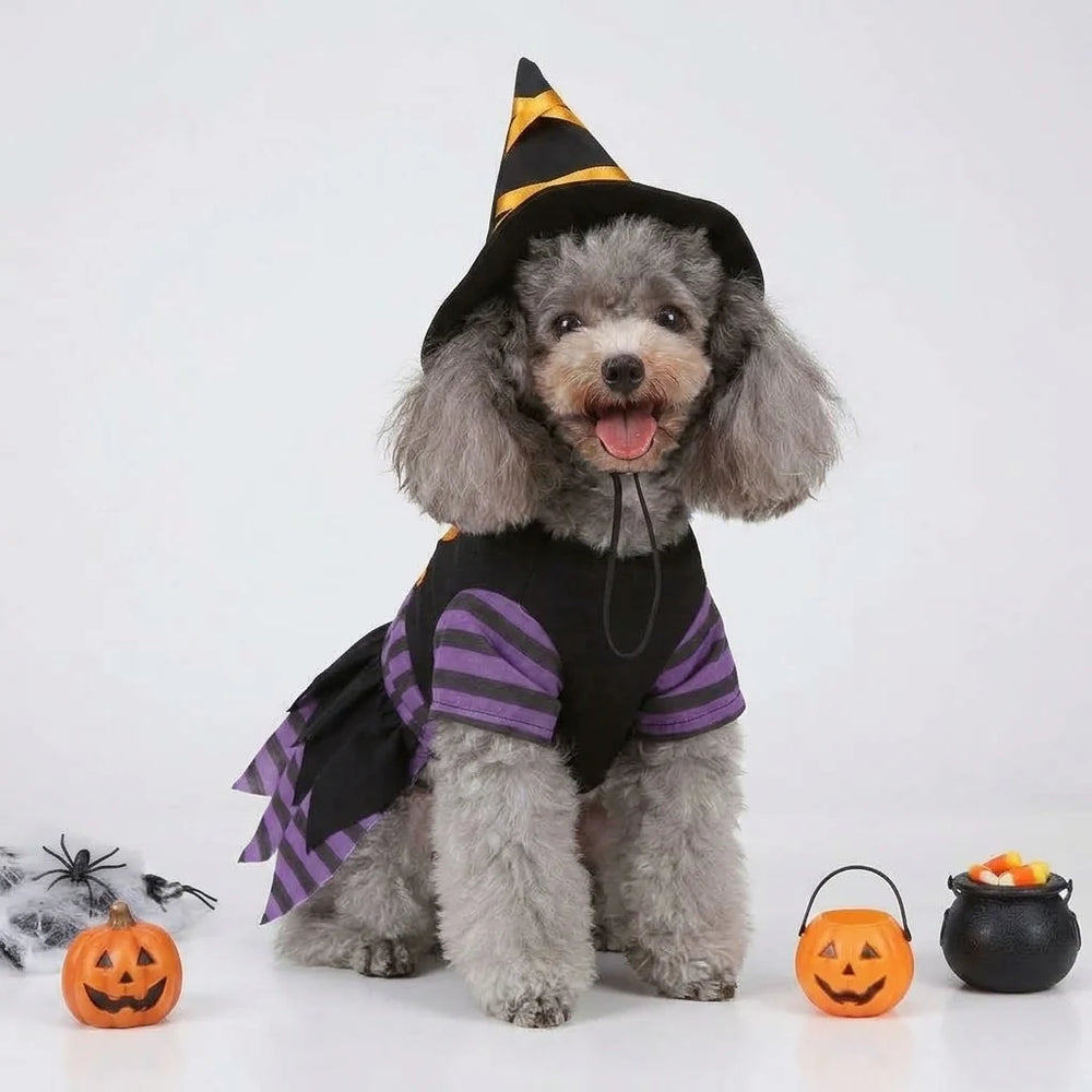 Tamecare Black and Purple Witch Dog Costume and Hat Set