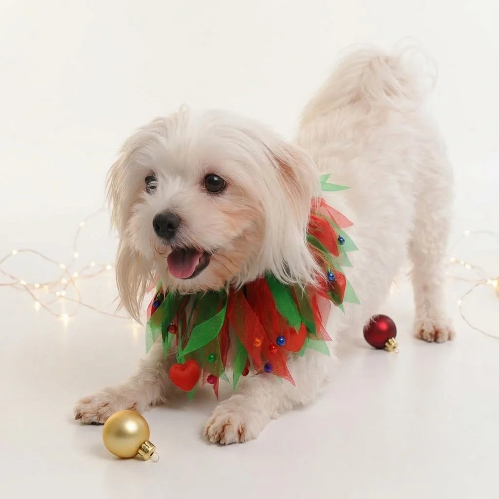 Tamecare Multicolor Christmas Tulle Dog Collar