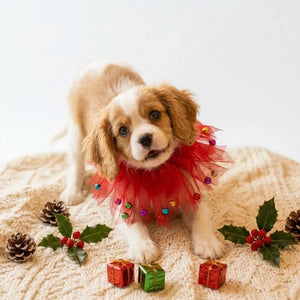 Tamecare Red Christmas Tulle Dog Collar