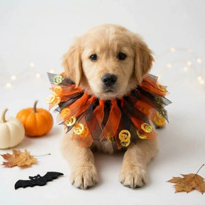 Tamecare Orange Pumpkin Halloween Dog Collar
