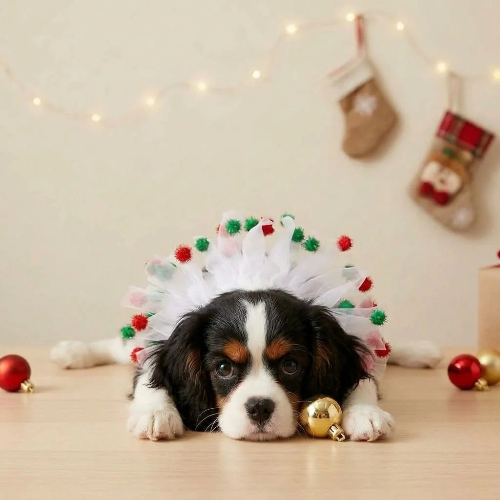 Tamecare White Christmas Pom Pom Dog Collar