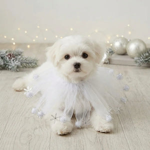 Tamecare White Snowflake Tulle Dog Collar