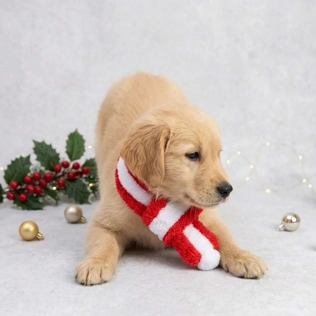Tamecare Red and White Plush Christmas Dog Scarf