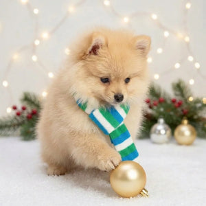 Tamecare Blue Green and White Plush Christmas Dog Scarf