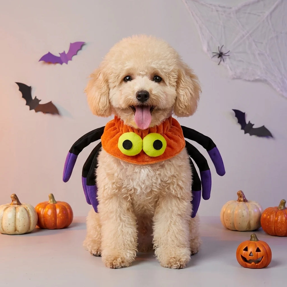 Tamecare Orange Halloween Spider Dog Collar