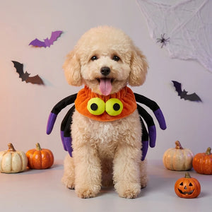 Tamecare Orange Halloween Spider Dog Collar