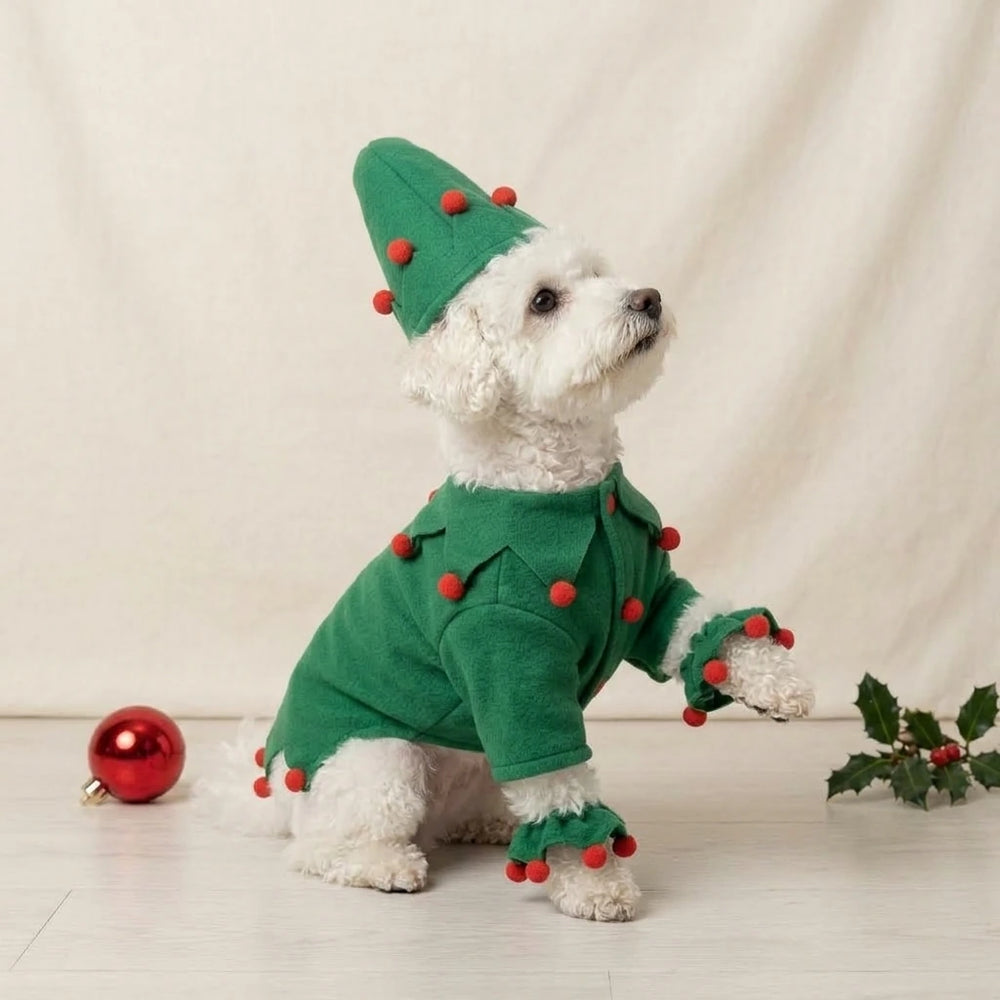 Tamecare Green Felt Elf Dog Costume with Hat and Ankle Cuffs