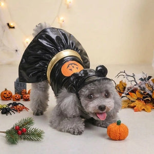 Tamecare Black Pumpkin Halloween Dog Dress