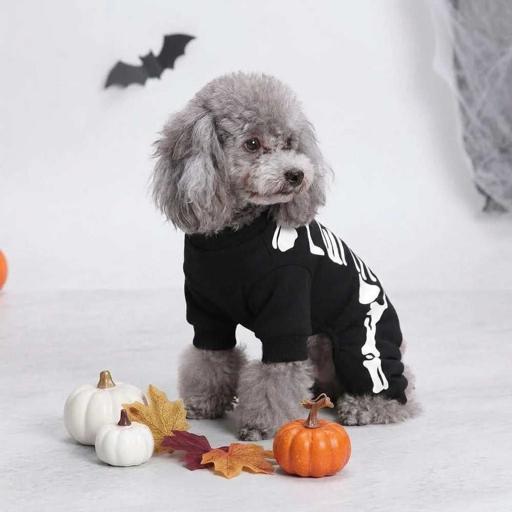 Tamecare Black Skeleton Print Dog Outfit
