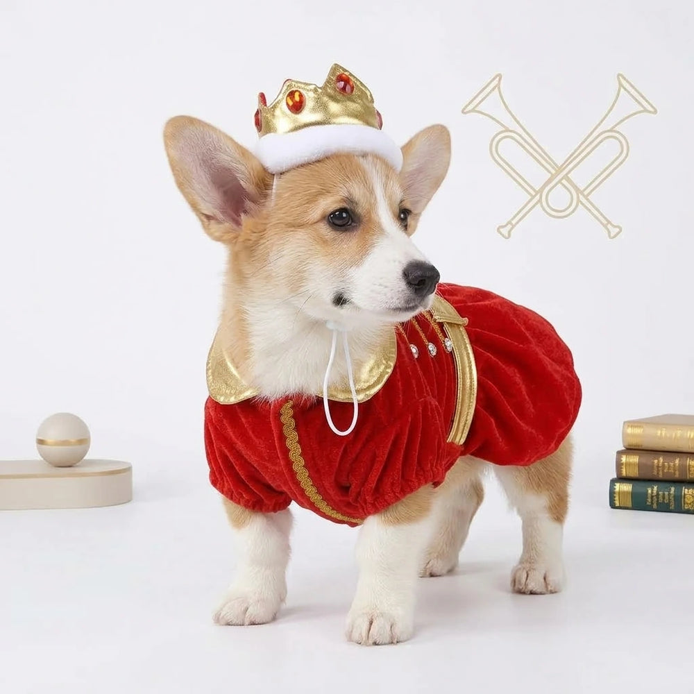 Red Royal King Dog Costume