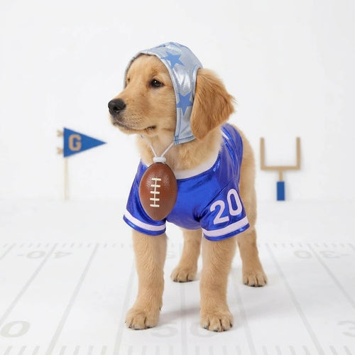 Blue Football Dog Costume