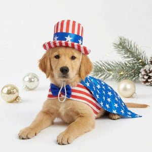 Tamecare Red White and Blue USA Santa Dog Costume