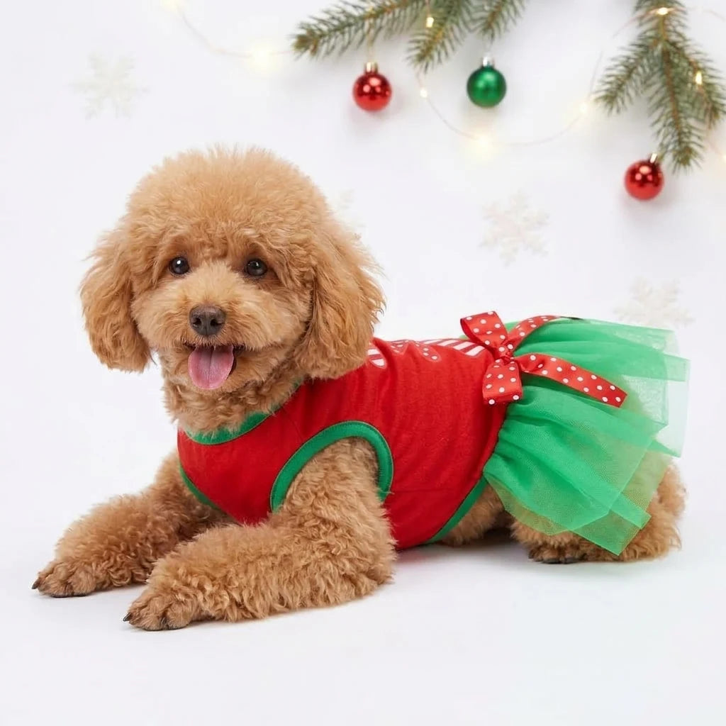 Tamecare Red and Green Christmas Gift Skirt Dog Dress