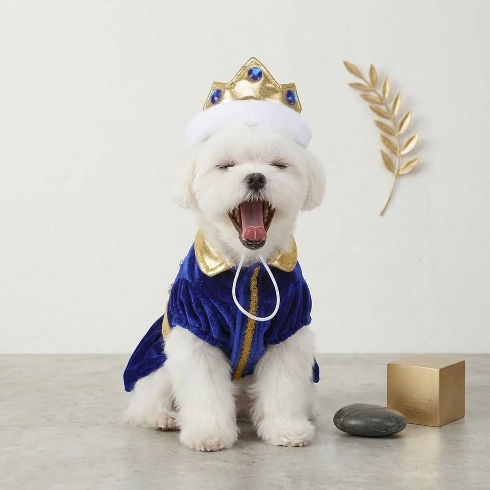 Blue Royal Prince Dog Costume