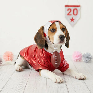 Red Football Cheerleader Dog Costume