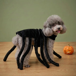 Tamecare Black Spider Halloween Dog Costume