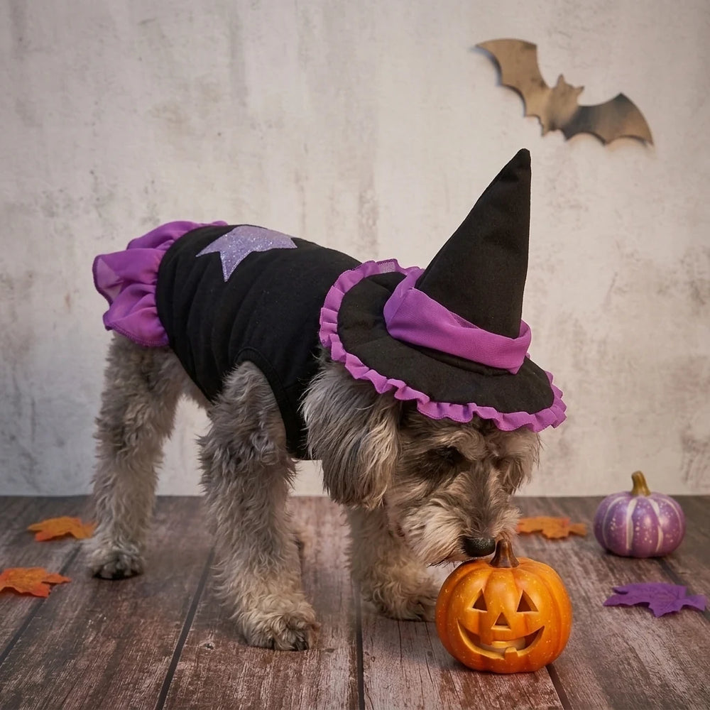 Tamecare Purple Witch Halloween Dog Costume Set