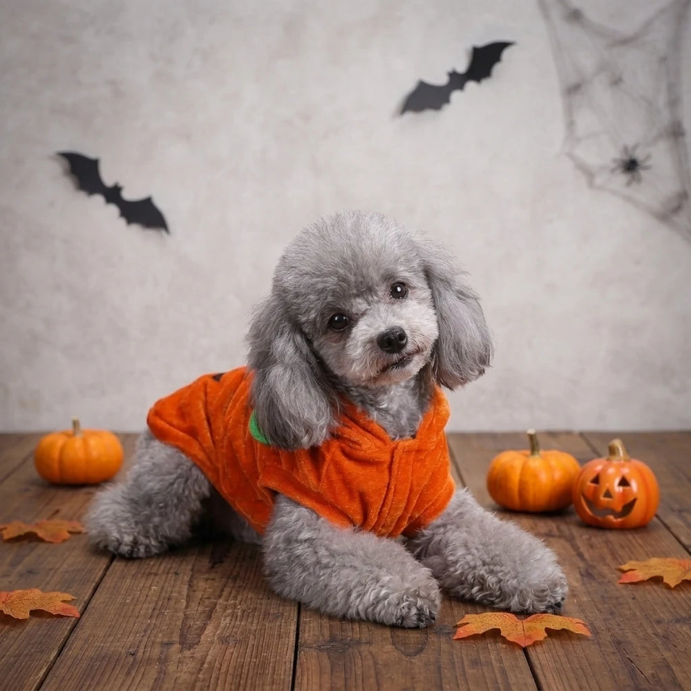Tamecare Orange Pumpkin Halloween Dog Costume