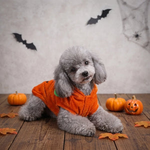 Tamecare Orange Pumpkin Halloween Dog Costume