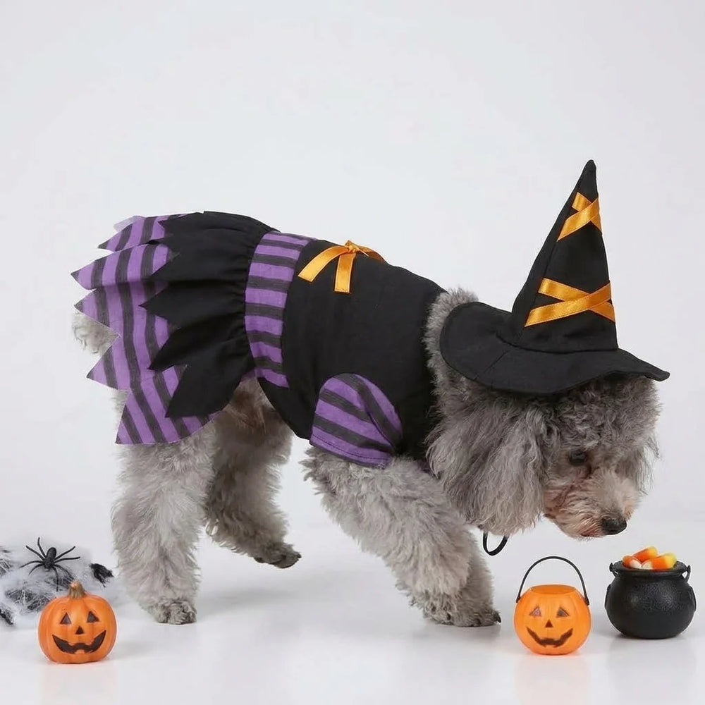 Tamecare Black and Purple Witch Dog Costume and Hat Set