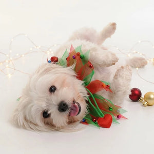 Tamecare Multicolor Christmas Tulle Dog Collar