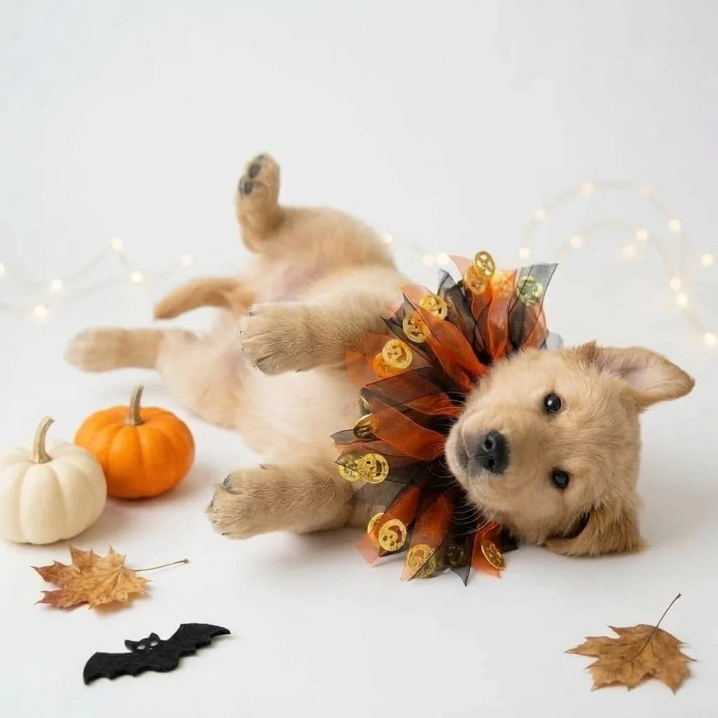 Tamecare Orange Pumpkin Halloween Dog Collar