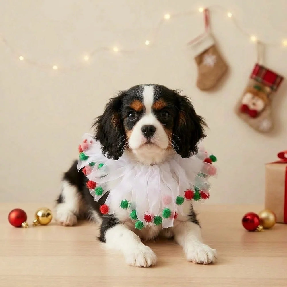 Tamecare White Christmas Pom Pom Dog Collar