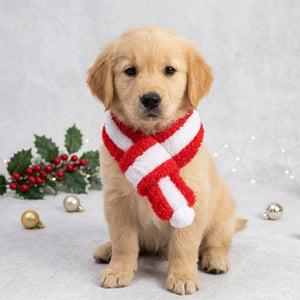 Tamecare Red and White Plush Christmas Dog Scarf