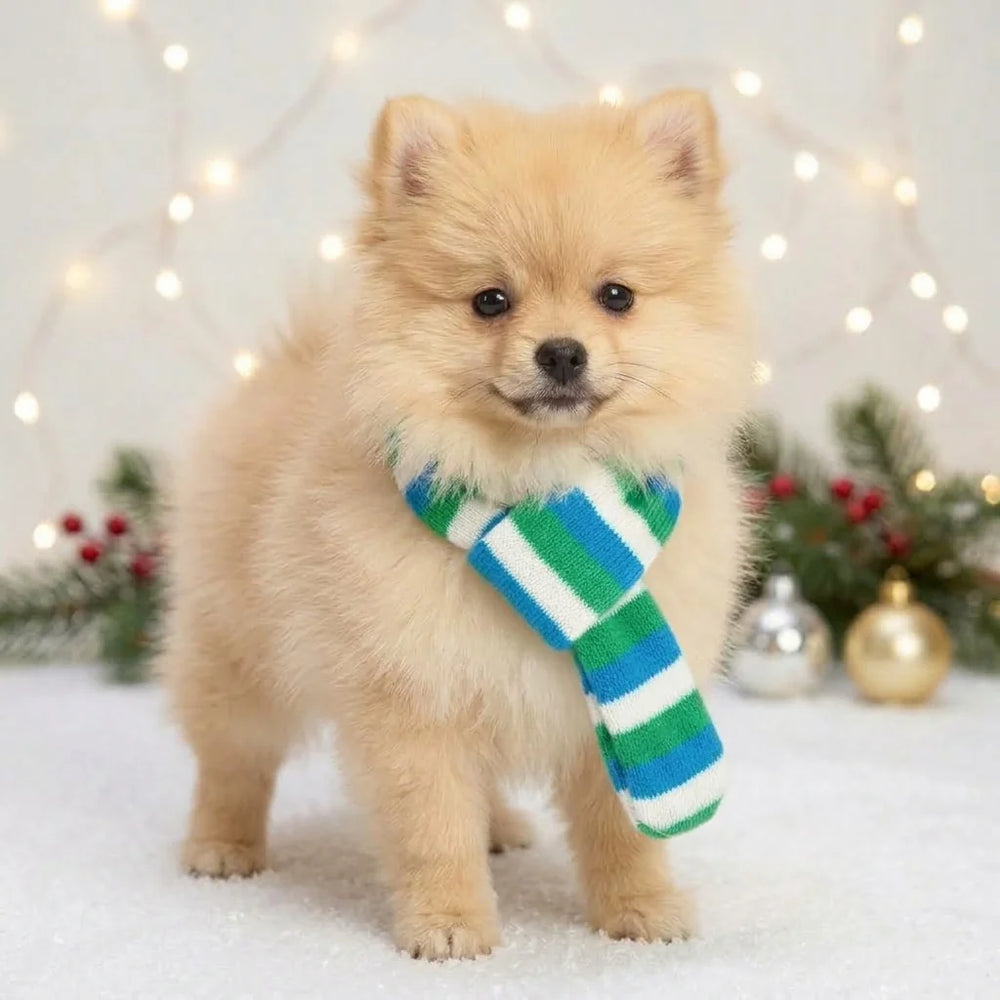 Tamecare Blue Green and White Plush Christmas Dog Scarf