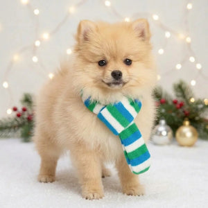 Tamecare Blue Green and White Plush Christmas Dog Scarf