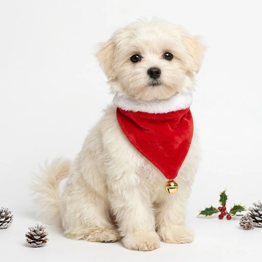 Tamecare Red Christmas Bell Dog Bandana
