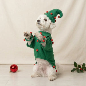 Tamecare Green Felt Elf Dog Costume with Hat and Ankle Cuffs