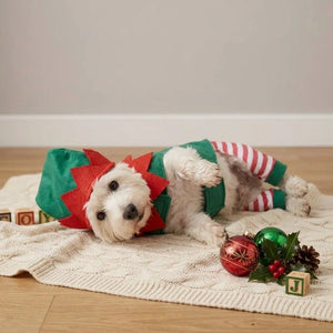 Tamecare Green and Red Christmas Elf Dog Outfit and Hat Set