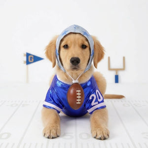 Blue Football Dog Costume
