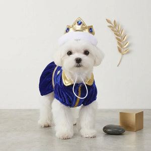Blue Royal Prince Dog Costume