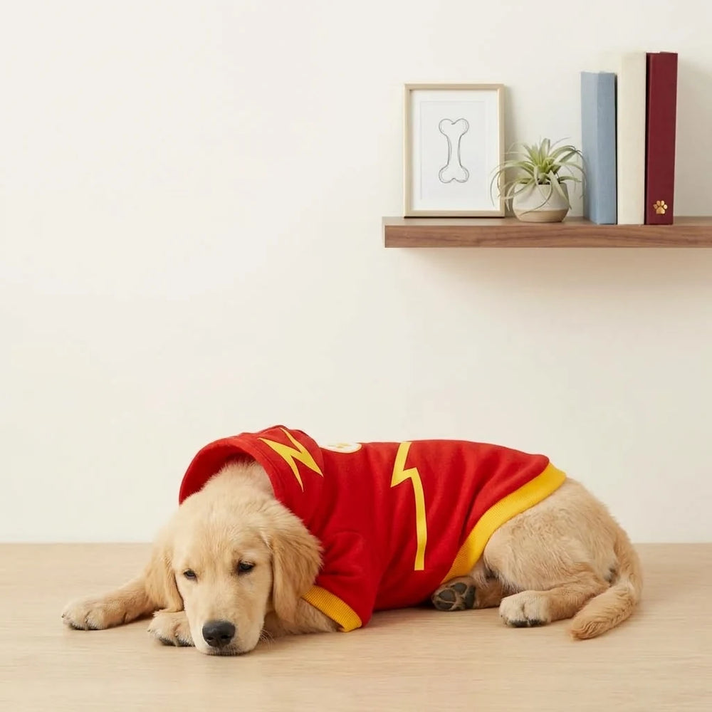 Tamecare Red Lightning Dog Paw Suit with Hat
