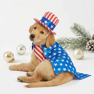 Tamecare Red White and Blue USA Santa Dog Costume