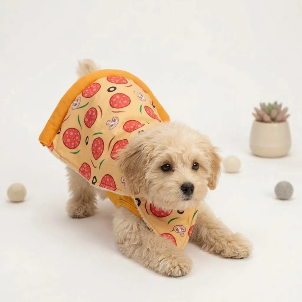 Tamecare Yellow Pizza Party Dog Cape