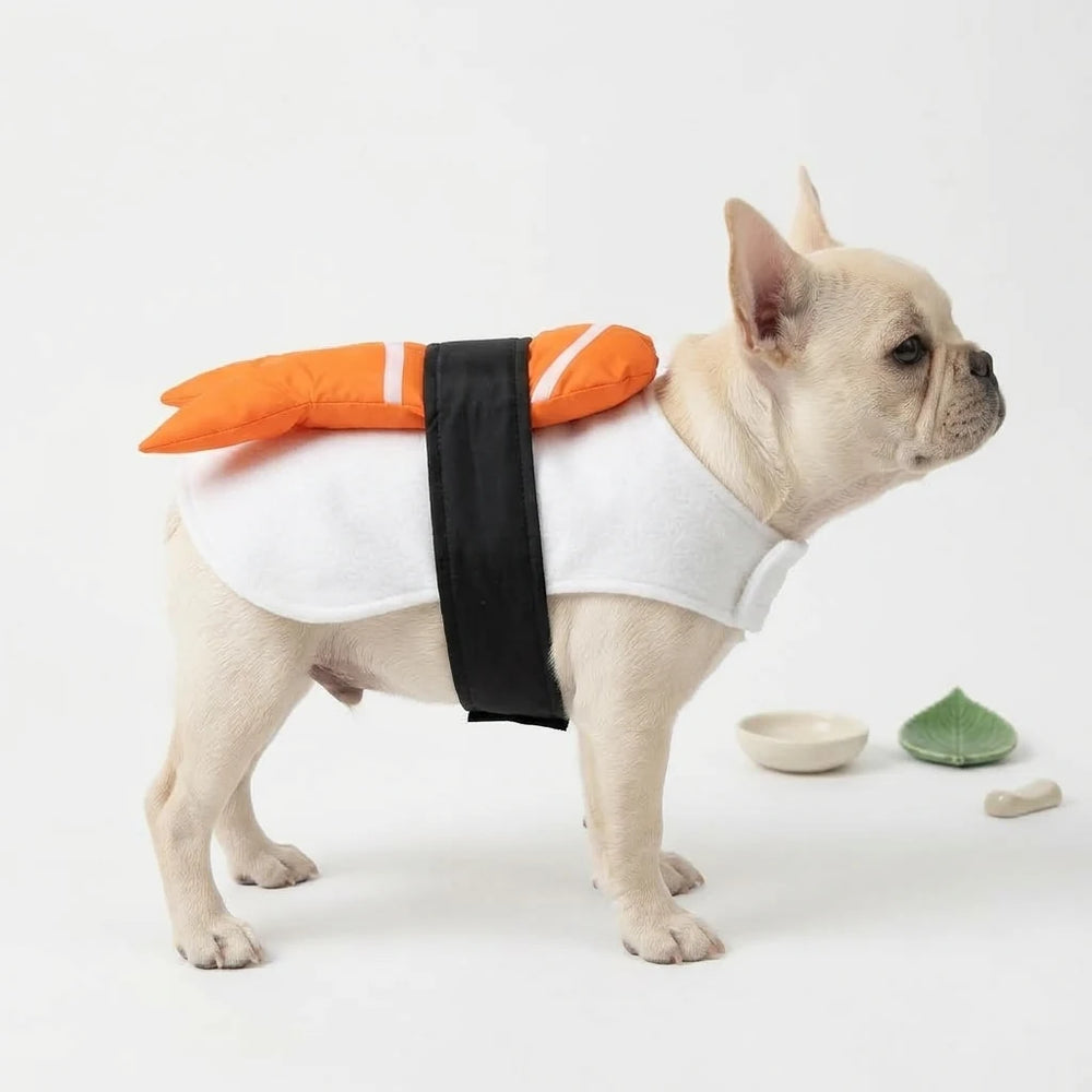Tamecare Orange Japanese Sushi Dog Costume
