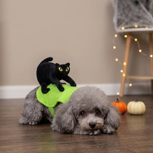 Tamecare Black Cat Rider Halloween Dog Costume