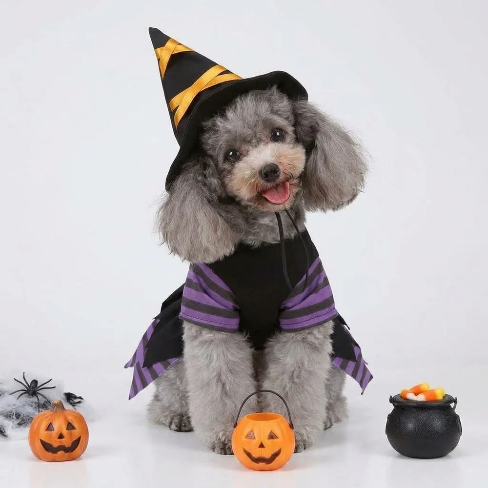 Tamecare Black and Purple Witch Dog Costume and Hat Set