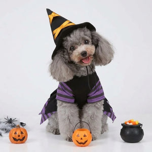 Tamecare Black and Purple Witch Dog Costume and Hat Set
